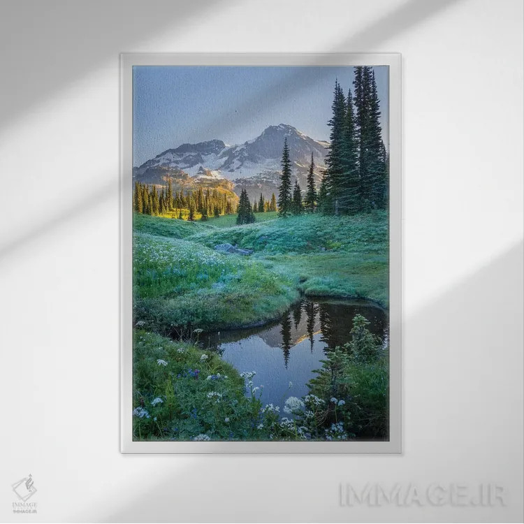 تابلو دکوراتیو Mt. Rainier National Park I,انعکاس کوه رینیر در برکه میان گل ه… اثر گری لوهم - نمای قابدار سفید