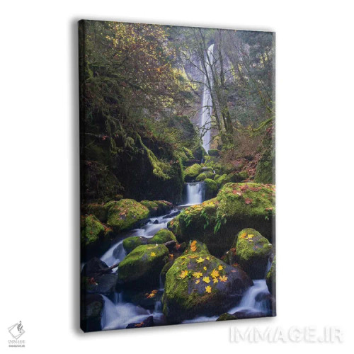 تابلو دکوراتیو Oregon. Autumn view of McCord Creek flowing below Elowah Falls… اثر گری لوهم - نمای پرسپکتیو محصول
