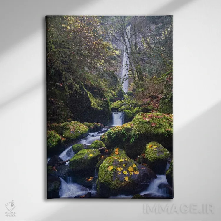 تابلو دکوراتیو Oregon. Autumn view of McCord Creek flowing below Elowah Falls… اثر گری لوهم - نمای روبهرو روی دیوار