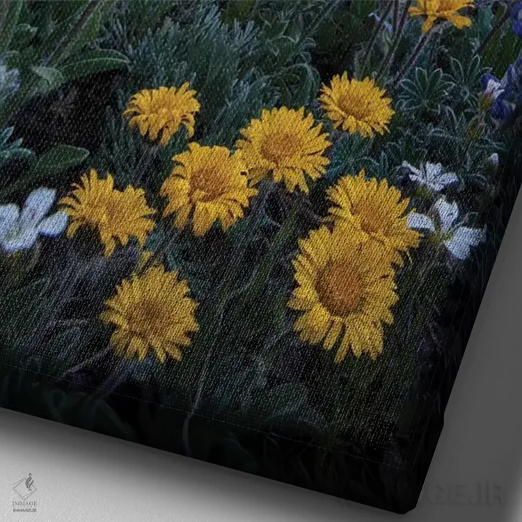 تابلو دکوراتیو Tolmie's Saxifrage and Alpine Golden Daisy,گل های وحشی آلپی: ل… اثر گری لوهم - نمای نزدیک بافت بوم