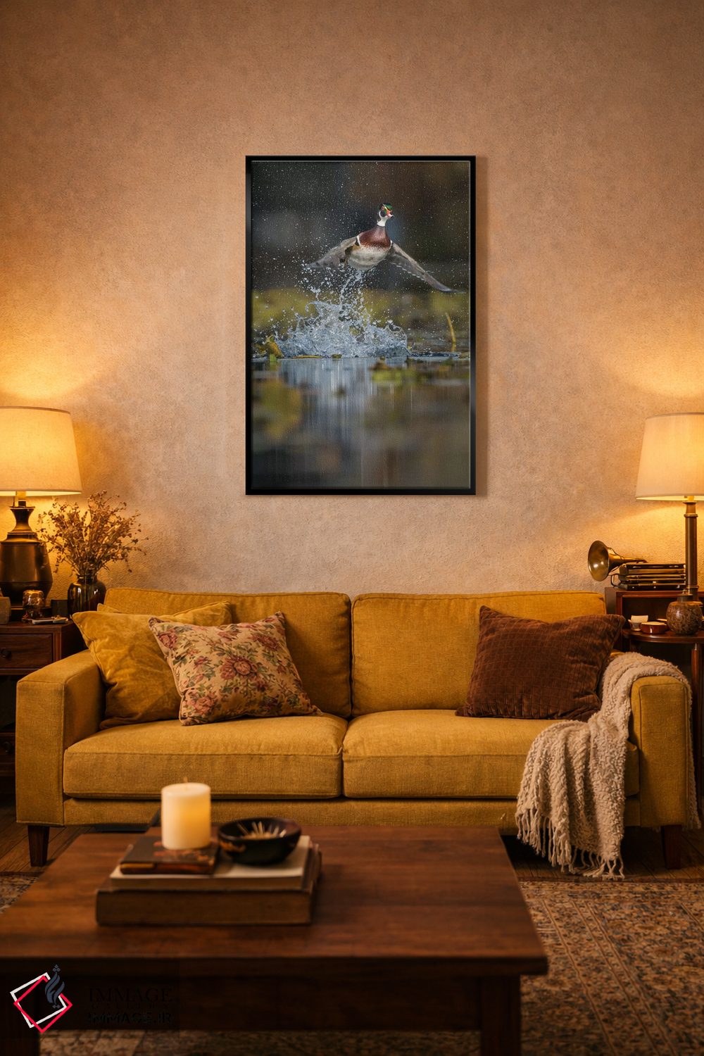 تابلو دکوراتیو Washington State. Male Wood Duck flying from Union Bay in Seat… اثر گری لوهم - D4B