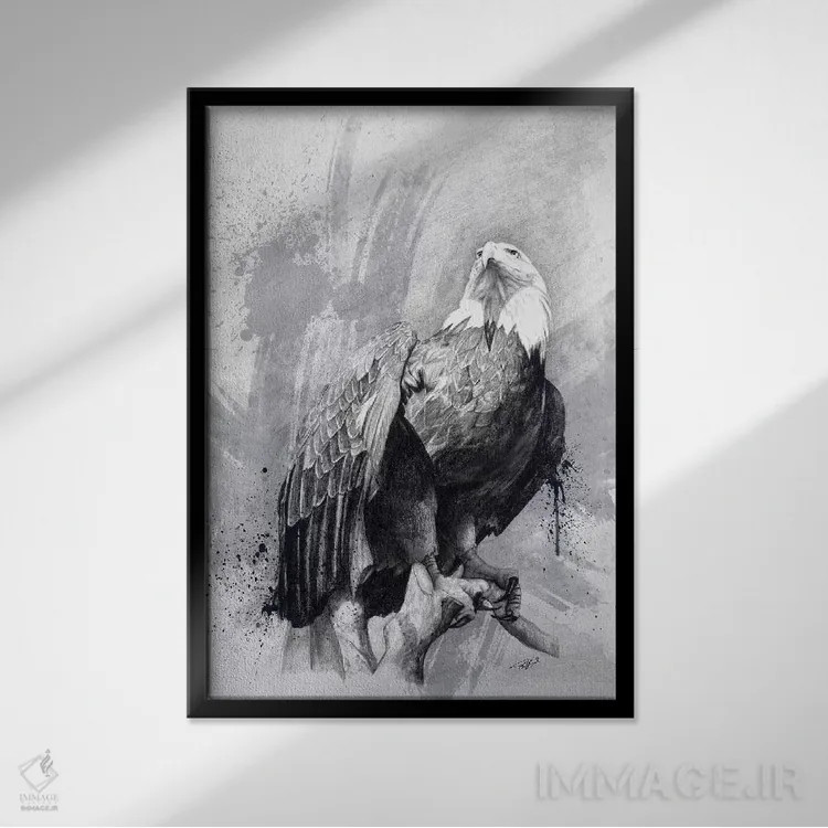تابلو دکوراتیو نقاشی عقاب سرسفید اثر استیو گود - نمای قابدار مشکی