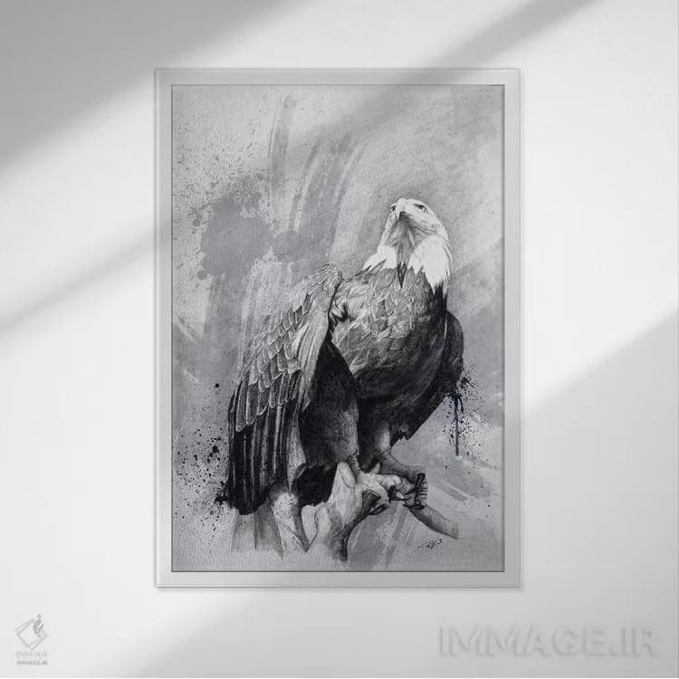 تابلو دکوراتیو نقاشی عقاب سرسفید اثر استیو گود - نمای قابدار سفید