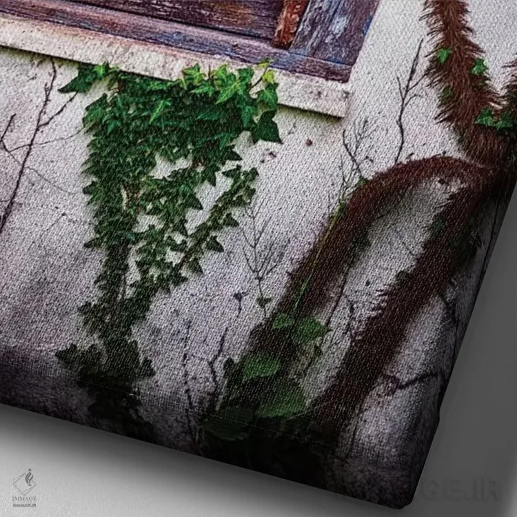تابلو دکوراتیو پنجره قدیمی رنگ باخته پوشیده از پیچک اثر جورج اوزه - نمای نزدیک بافت بوم
