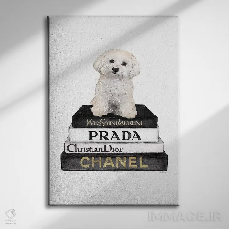تابلو دکوراتیو Grey, Maltese,کتاب های مد خاکستری و سگ مالتیز اثر آماندا گرینوود - نمای روبهرو روی دیوار