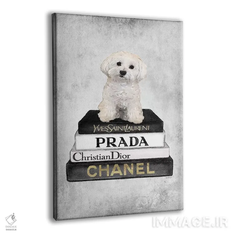 تابلو دکوراتیو Grey, Maltese, Grey Grunge,کتاب های مد خاکستری، سگ مالتی… اثر آماندا گرینوود - نمای پرسپکتیو محصول