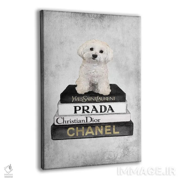 تابلو دکوراتیو Grey, Maltese, Grey Grunge,کتاب های مد خاکستری، سگ مالتی… اثر آماندا گرینوود - نمای پرسپکتیو محصول