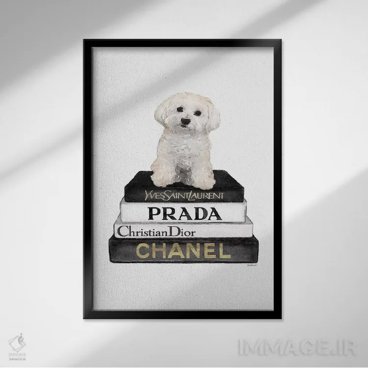 تابلو دکوراتیو Grey, Maltese,کتاب های مد خاکستری و سگ مالتیز اثر آماندا گرینوود - نمای قابدار مشکی
