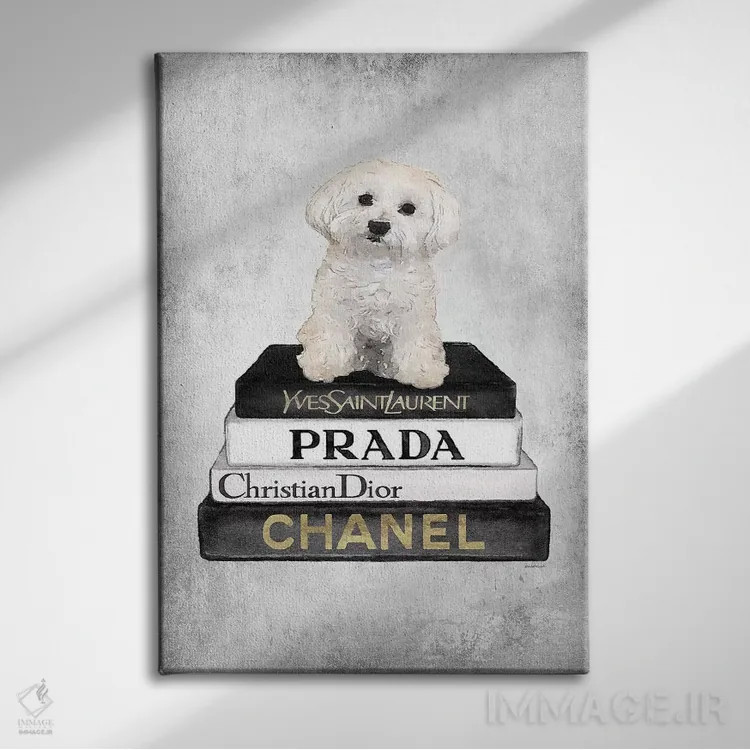 تابلو دکوراتیو Grey, Maltese, Grey Grunge,کتاب های مد خاکستری، سگ مالتی… اثر آماندا گرینوود - نمای روبهرو روی دیوار