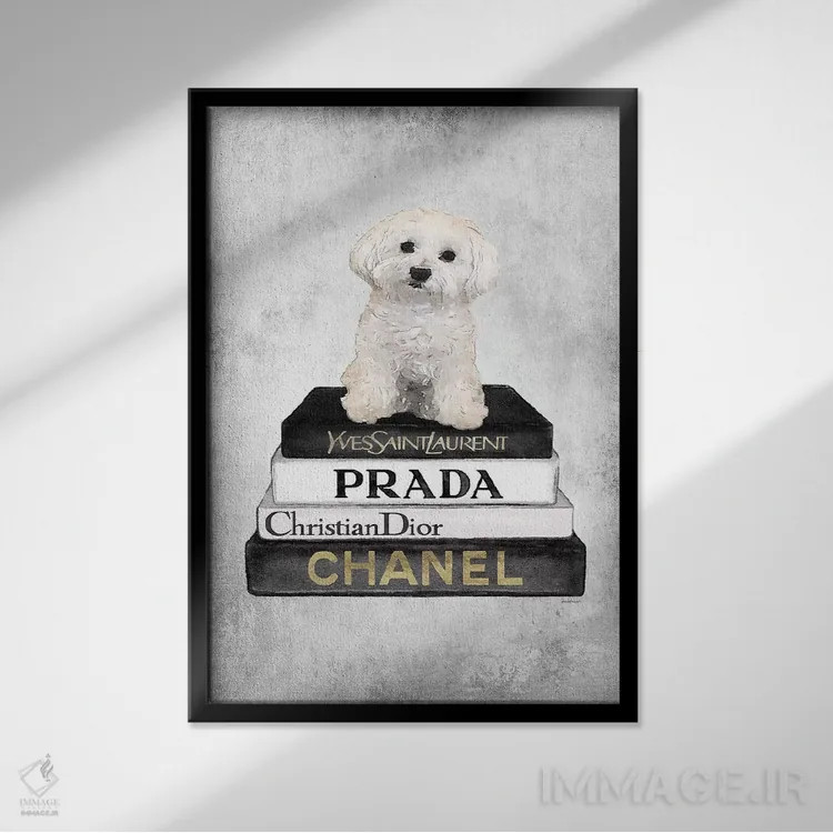 تابلو دکوراتیو Grey, Maltese, Grey Grunge,کتاب های مد خاکستری، سگ مالتی… اثر آماندا گرینوود - نمای قابدار مشکی