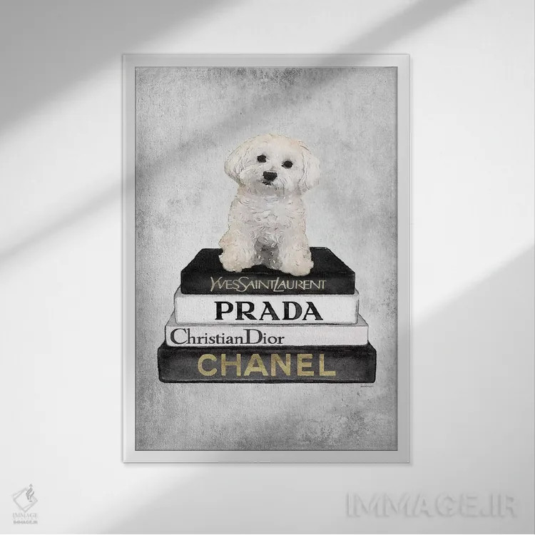 تابلو دکوراتیو Grey, Maltese, Grey Grunge,کتاب های مد خاکستری، سگ مالتی… اثر آماندا گرینوود - نمای قابدار سفید