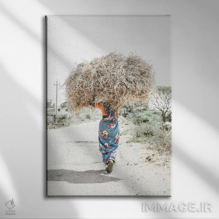 تابلو دکوراتیو هند III اثر لوک آنتونی گرم - نمای روبهرو روی دیوار