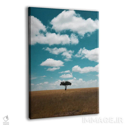 تابلو دکوراتیو درخت تنها در ماسایی مارا، کنیا اثر لوک آنتونی گرم - نمای پرسپکتیو محصول