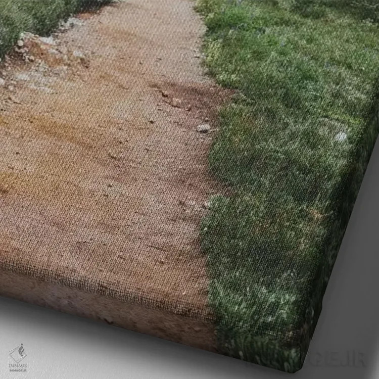 تابلو دکوراتیو پارک استانی گاریبالدی، کانادا اثر لوک آنتونی گرم - نمای نزدیک بافت بوم