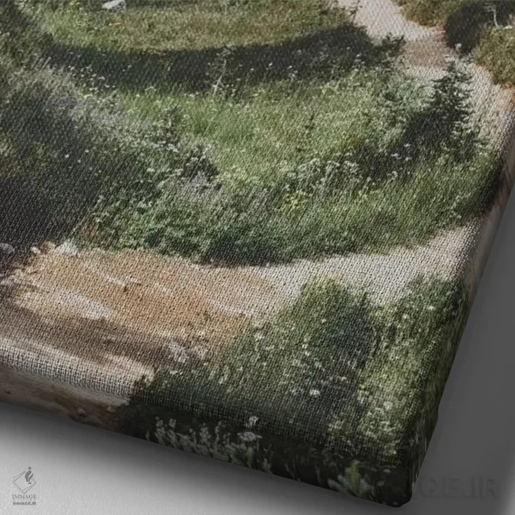 تابلو دکوراتیو پارک استانی گاریبالدی، کانادا اثر لوک آنتونی گرم - نمای نزدیک بافت بوم