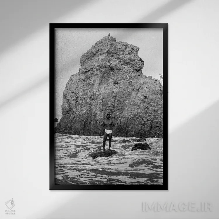 تابلو دکوراتیو نیک در مالیبو اثر گرگوری پرسکات - نمای قابدار مشکی