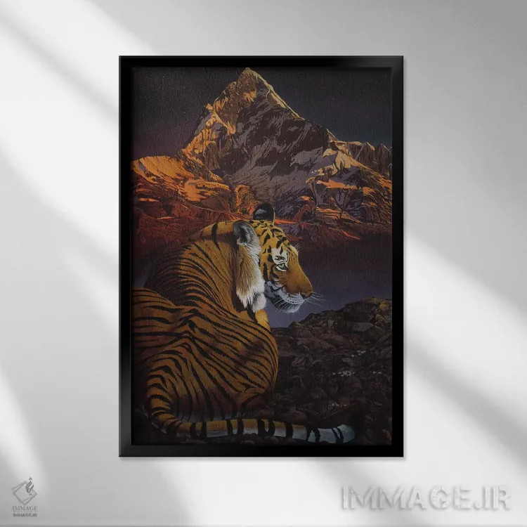 تابلو دکوراتیو ببر کیهانی اثر گرائیم استیونسون - نمای قابدار مشکی