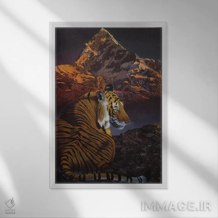تابلو دکوراتیو ببر کیهانی اثر گرائیم استیونسون - نمای قابدار سفید
