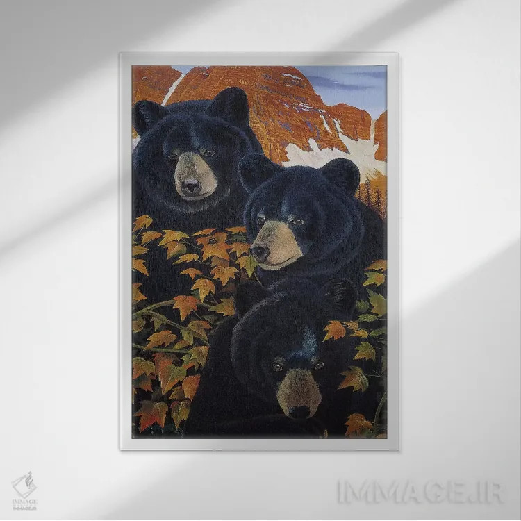 تابلو دکوراتیو سه دردسر اثر گرائیم استیونسون - نمای قابدار سفید