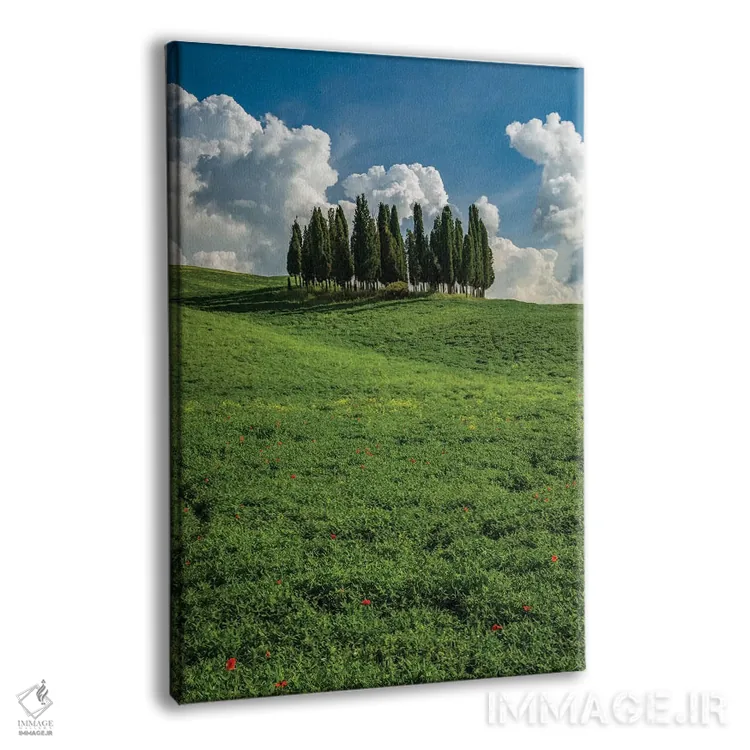 تابلو دکوراتیو Tuscany, Pines hillside,ایتالیا، توسکانی، دامنه کاج ها اثر جورج تئودور - نمای پرسپکتیو محصول