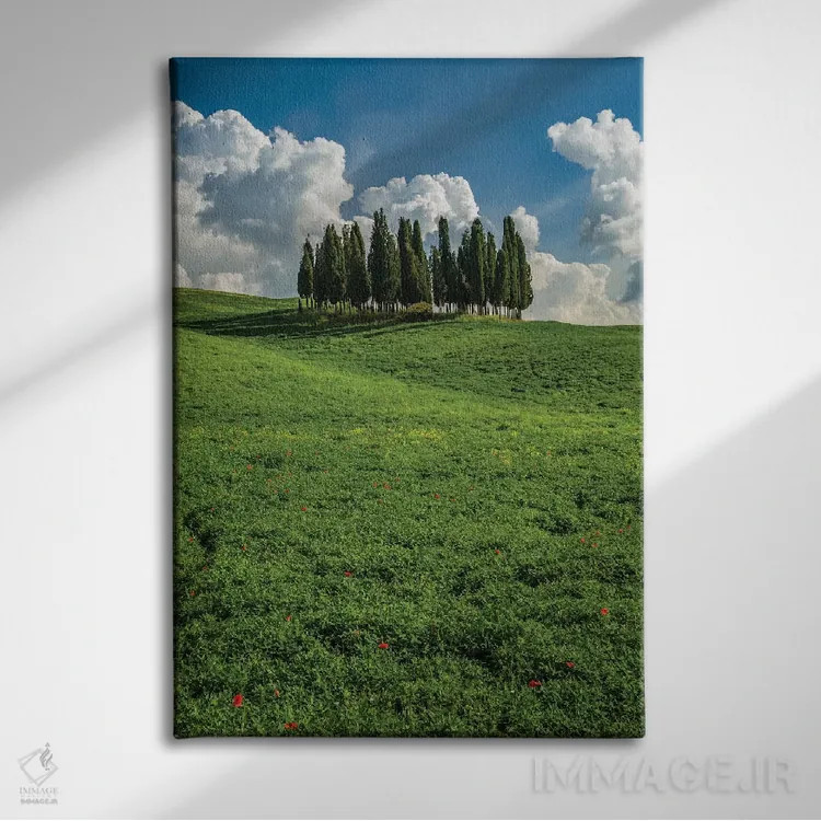 تابلو دکوراتیو Tuscany, Pines hillside,ایتالیا، توسکانی، دامنه کاج ها اثر جورج تئودور - نمای روبهرو روی دیوار