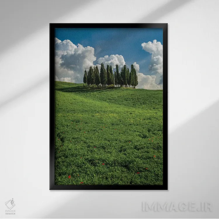تابلو دکوراتیو Tuscany, Pines hillside,ایتالیا، توسکانی، دامنه کاج ها اثر جورج تئودور - نمای قابدار مشکی