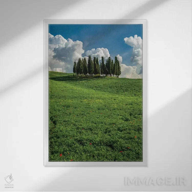 تابلو دکوراتیو Tuscany, Pines hillside,ایتالیا، توسکانی، دامنه کاج ها اثر جورج تئودور - نمای قابدار سفید