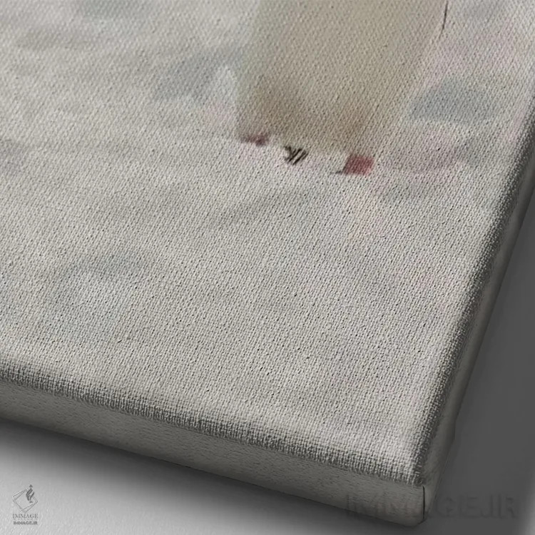 تابلو دکوراتیو Chinstrap, Penguin,جنوبگان، پنگوئن چانه بند اثر جورج تئودور - نمای نزدیک بافت بوم
