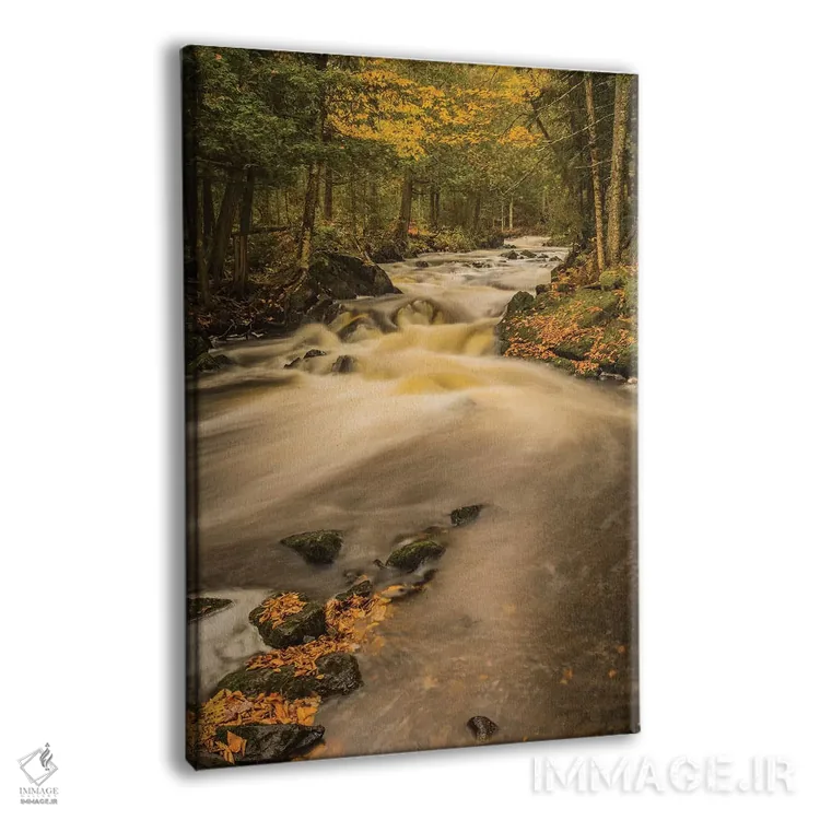 تابلو دکوراتیو Michigan, Fall Colors, Stream,آمریکا، میشیگان، رنگ های پایی… اثر جورج تئودور - نمای پرسپکتیو محصول