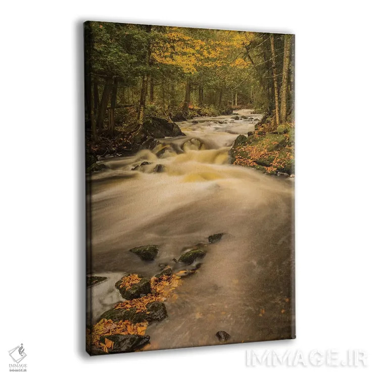 تابلو دکوراتیو Michigan, Fall Colors, Stream,آمریکا، میشیگان، رنگ های پایی… اثر جورج تئودور - نمای پرسپکتیو محصول