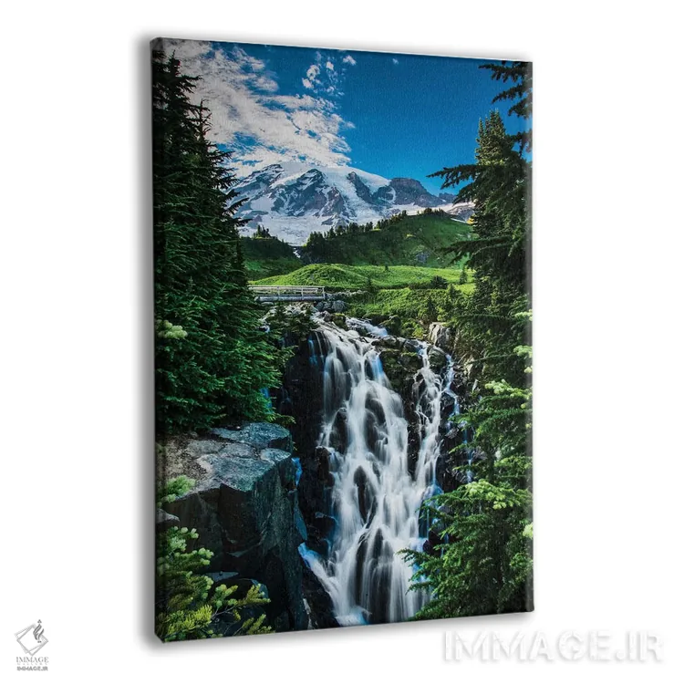 تابلو دکوراتیو Washington State, Mount Rainier National Park, Mount Rainie… اثر جورج تئودور - نمای پرسپکتیو محصول