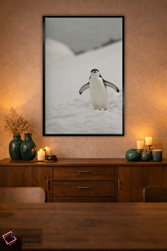 تابلو دکوراتیو Chinstrap, Penguin,جنوبگان، پنگوئن چانه بند اثر جورج تئودور - D2B