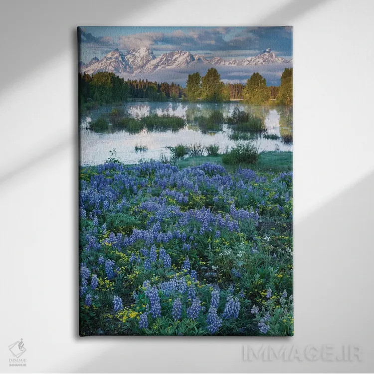 تابلو دکوراتیو Wyoming. Grand Teton National Park, Tetons, flowers foregro… اثر جورج تئودور - نمای روبهرو روی دیوار