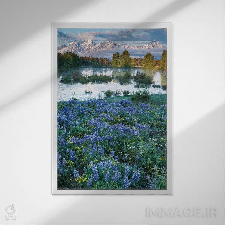 تابلو دکوراتیو Wyoming. Grand Teton National Park, Tetons, flowers foregro… اثر جورج تئودور - نمای قابدار سفید