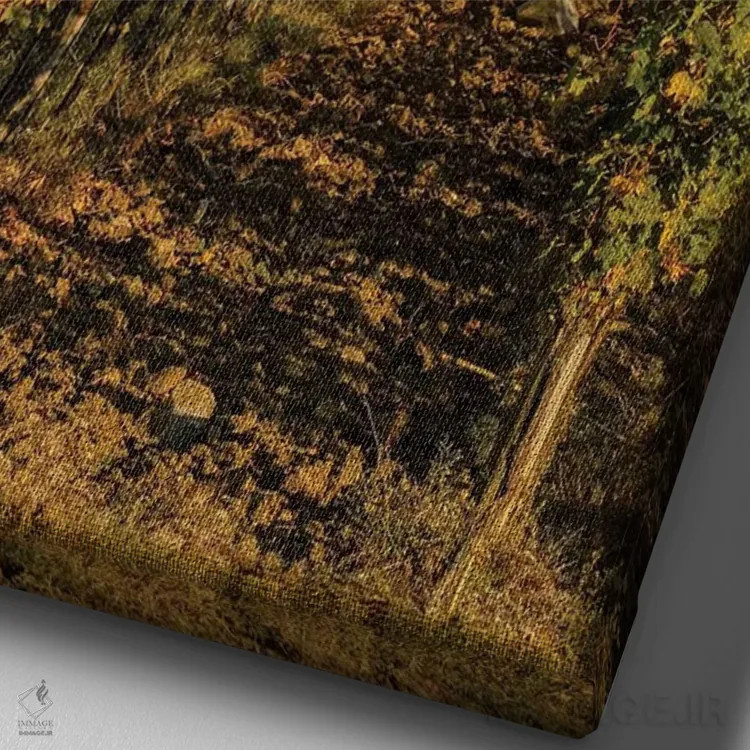 تابلو دکوراتیو Tuscany. Vineyard, Pine Trees,ایتالیا، توسکانی، تاکستان، در… اثر جورج تئودور - نمای نزدیک بافت بوم