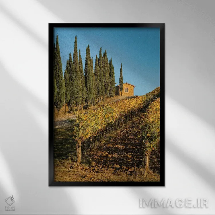 تابلو دکوراتیو Tuscany. Vineyard, Pine Trees,ایتالیا، توسکانی، تاکستان، در… اثر جورج تئودور - نمای قابدار مشکی