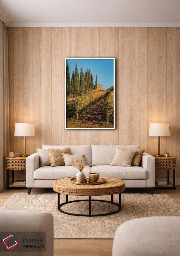تابلو دکوراتیو Tuscany. Vineyard, Pine Trees,ایتالیا، توسکانی، تاکستان، در… اثر جورج تئودور - D1W