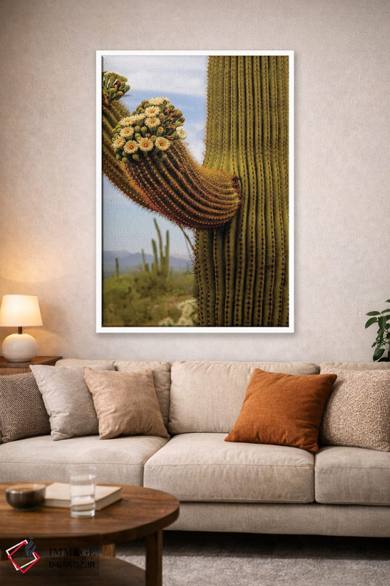 تابلو دکوراتیو Arizona.,گل های کاکتوس، آریزونا اثر جورج و مارولو تئودور - D2W