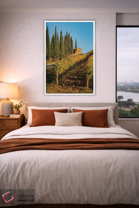 تابلو دکوراتیو Tuscany. Vineyard, Pine Trees,ایتالیا، توسکانی، تاکستان، در… اثر جورج تئودور - D3W