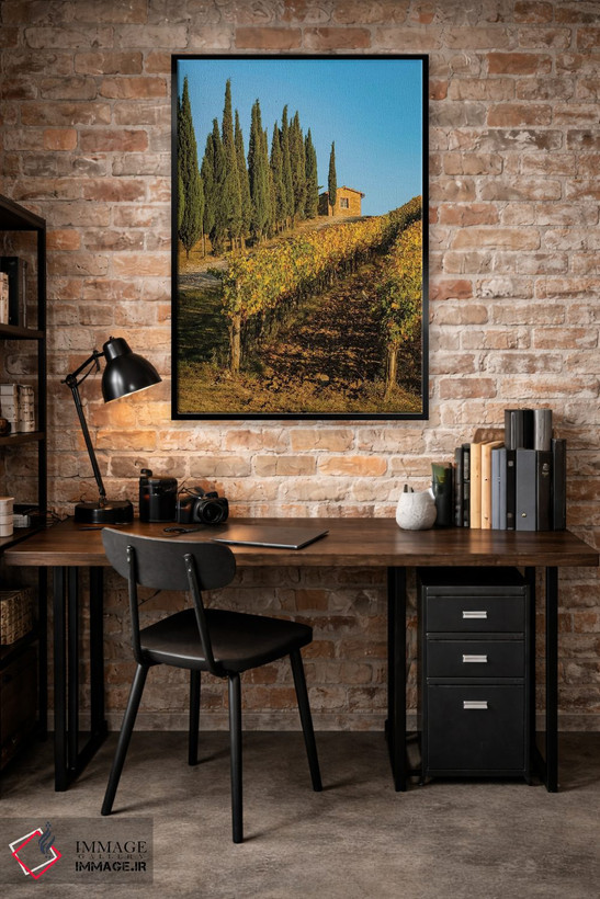 تابلو دکوراتیو Tuscany. Vineyard, Pine Trees,ایتالیا، توسکانی، تاکستان، در… اثر جورج تئودور - D4B