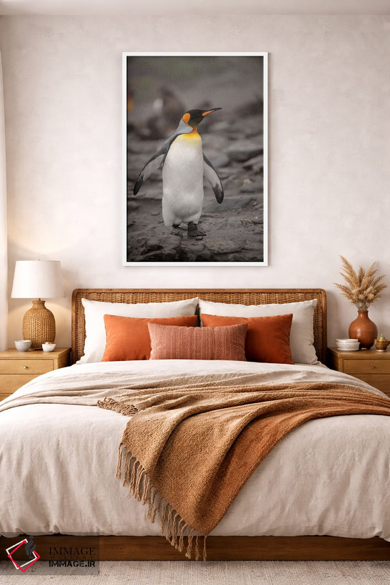 تابلو دکوراتیو King Penguin, walking,جنوبگان، پنگوئن پادشاه، در حال راه رف… اثر جورج تئودور - D1W