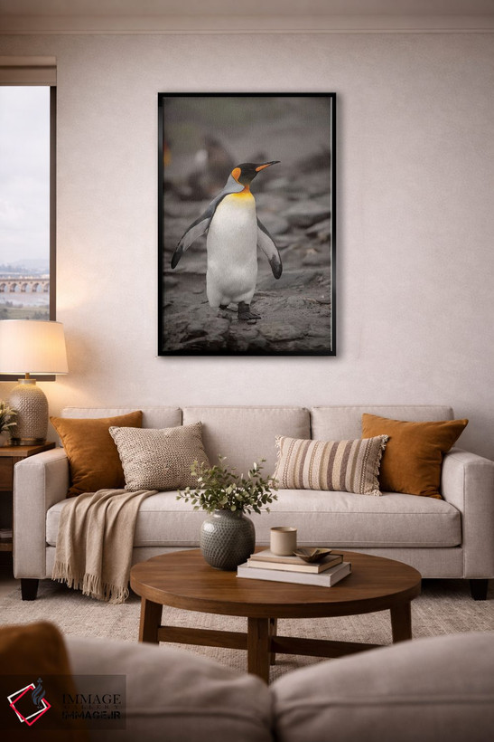 تابلو دکوراتیو King Penguin, walking,جنوبگان، پنگوئن پادشاه، در حال راه رف… اثر جورج تئودور - D3B