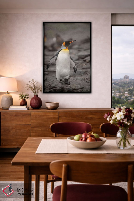 تابلو دکوراتیو King Penguin, walking,جنوبگان، پنگوئن پادشاه، در حال راه رف… اثر جورج تئودور - D4B