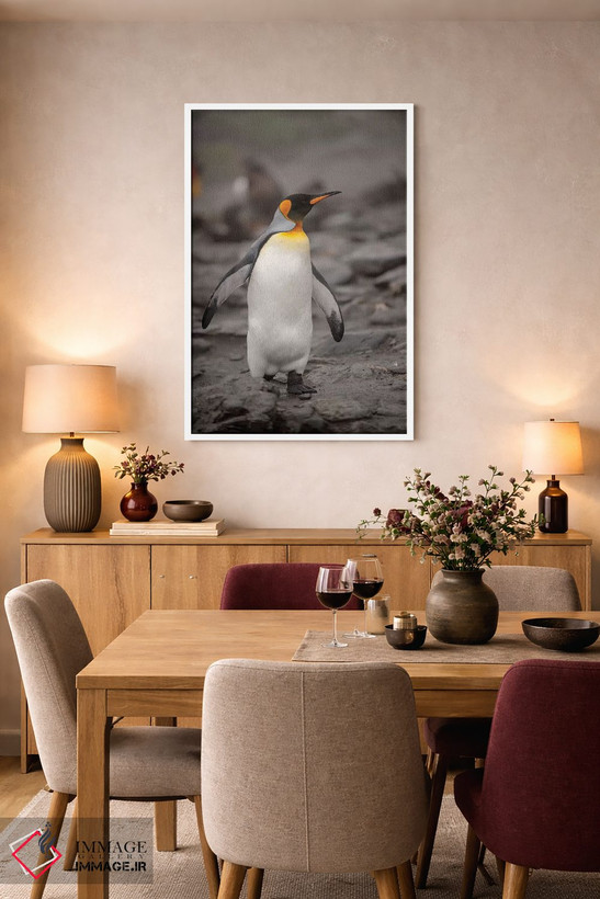 تابلو دکوراتیو King Penguin, walking,جنوبگان، پنگوئن پادشاه، در حال راه رف… اثر جورج تئودور - D6W