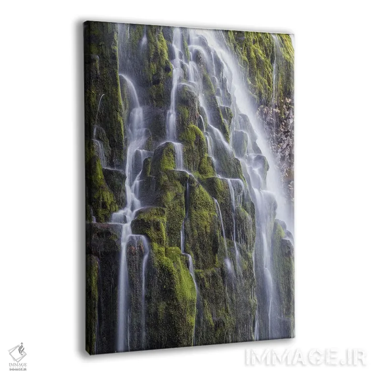 تابلو دکوراتیو Oregon, Three Sisters Wilderness Area. Lower Proxy Falls.,آ… اثر گرگ وینستون - نمای پرسپکتیو محصول