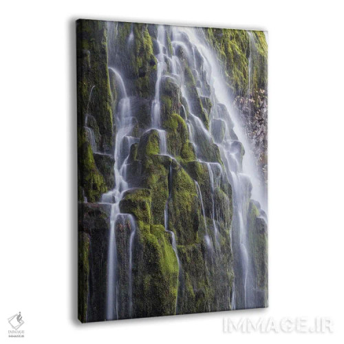 تابلو دکوراتیو Oregon, Three Sisters Wilderness Area. Lower Proxy Falls.,آ… اثر گرگ وینستون - نمای پرسپکتیو محصول