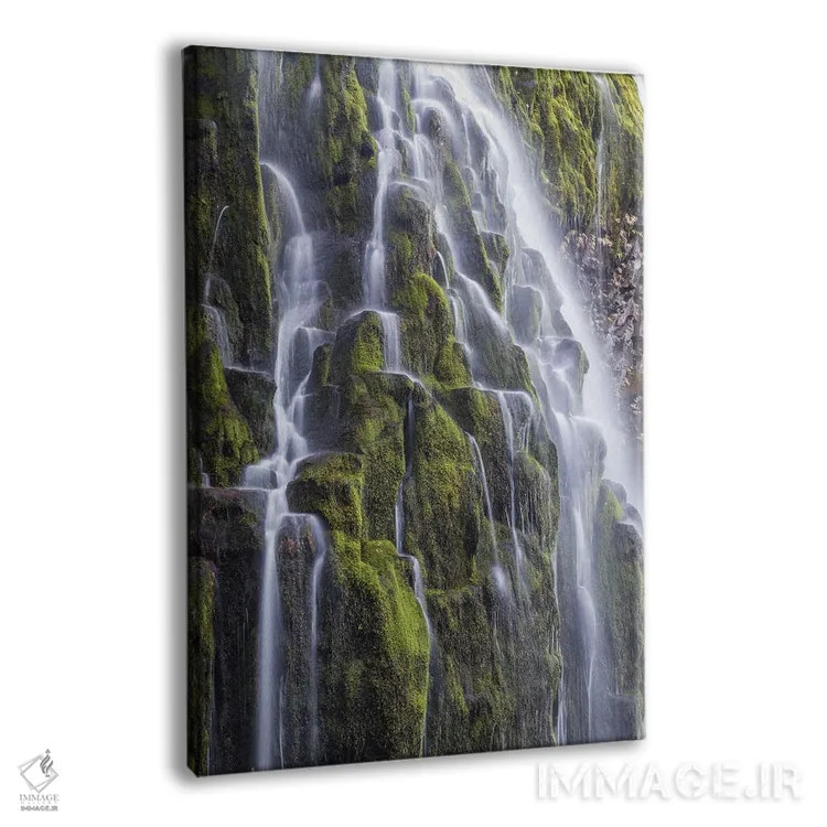 تابلو دکوراتیو Oregon, Three Sisters Wilderness Area. Lower Proxy Falls.,آ… اثر گرگ وینستون - نمای پرسپکتیو محصول