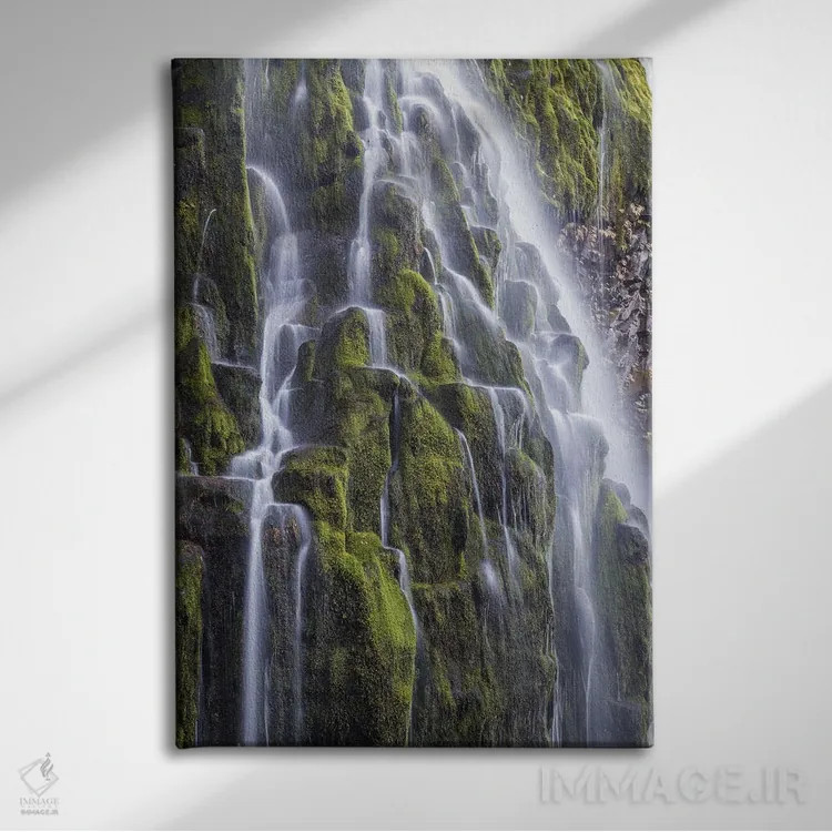 تابلو دکوراتیو Oregon, Three Sisters Wilderness Area. Lower Proxy Falls.,آ… اثر گرگ وینستون - نمای روبهرو روی دیوار