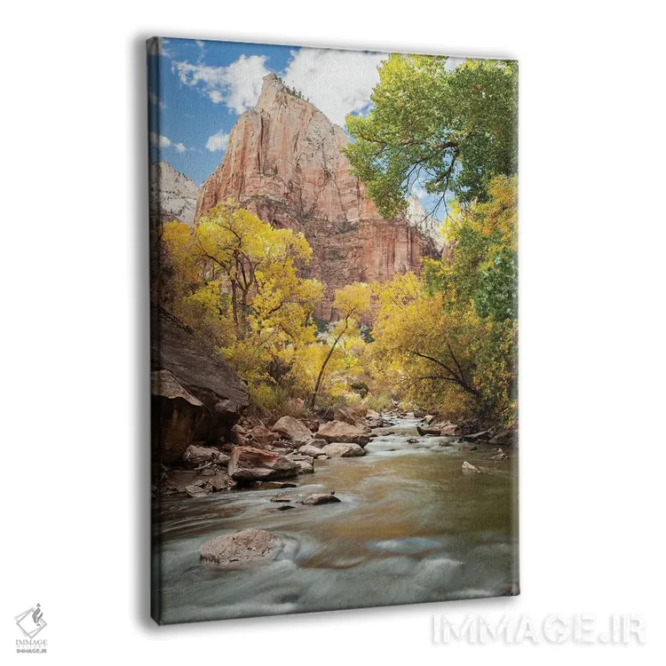تابلو دکوراتیو Utah, Zion National Park. American Dipper. Fall Foliage Nea… اثر گرگ وینستون - نمای پرسپکتیو محصول