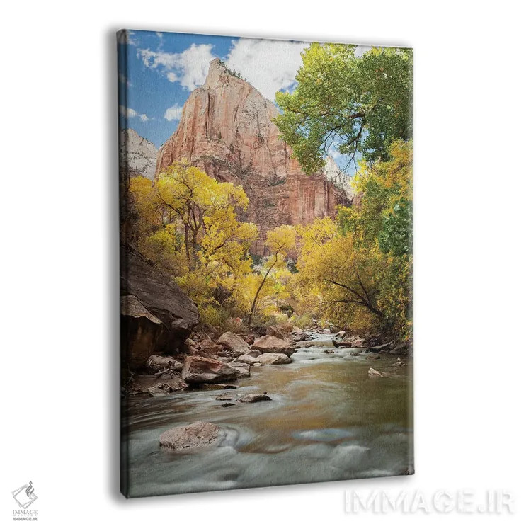 تابلو دکوراتیو Utah, Zion National Park. American Dipper. Fall Foliage Nea… اثر گرگ وینستون - نمای پرسپکتیو محصول